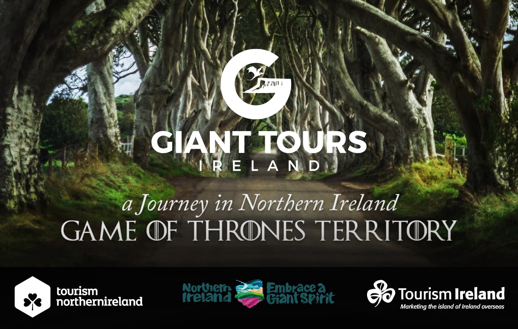 Giant Tours Ireland
