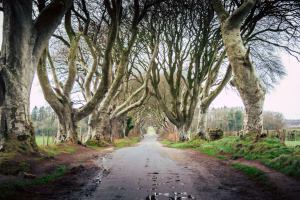 What Game of Thrones Fans Gain From a Private Golf Tour in Ireland
